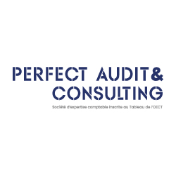 Logo Perfect Audit & Consulting